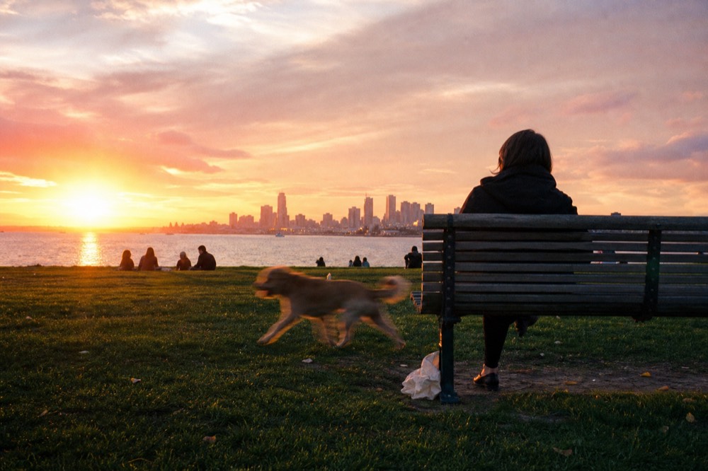 Sunset over Boston Harbor with the city skyline glowing orange behind the water