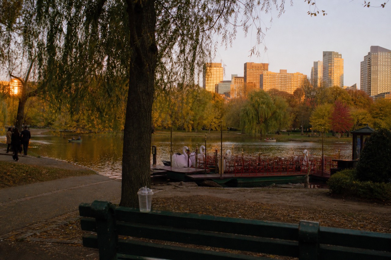The Boston Public Garden lagoon with the harbor skyline beyond at golden hour
